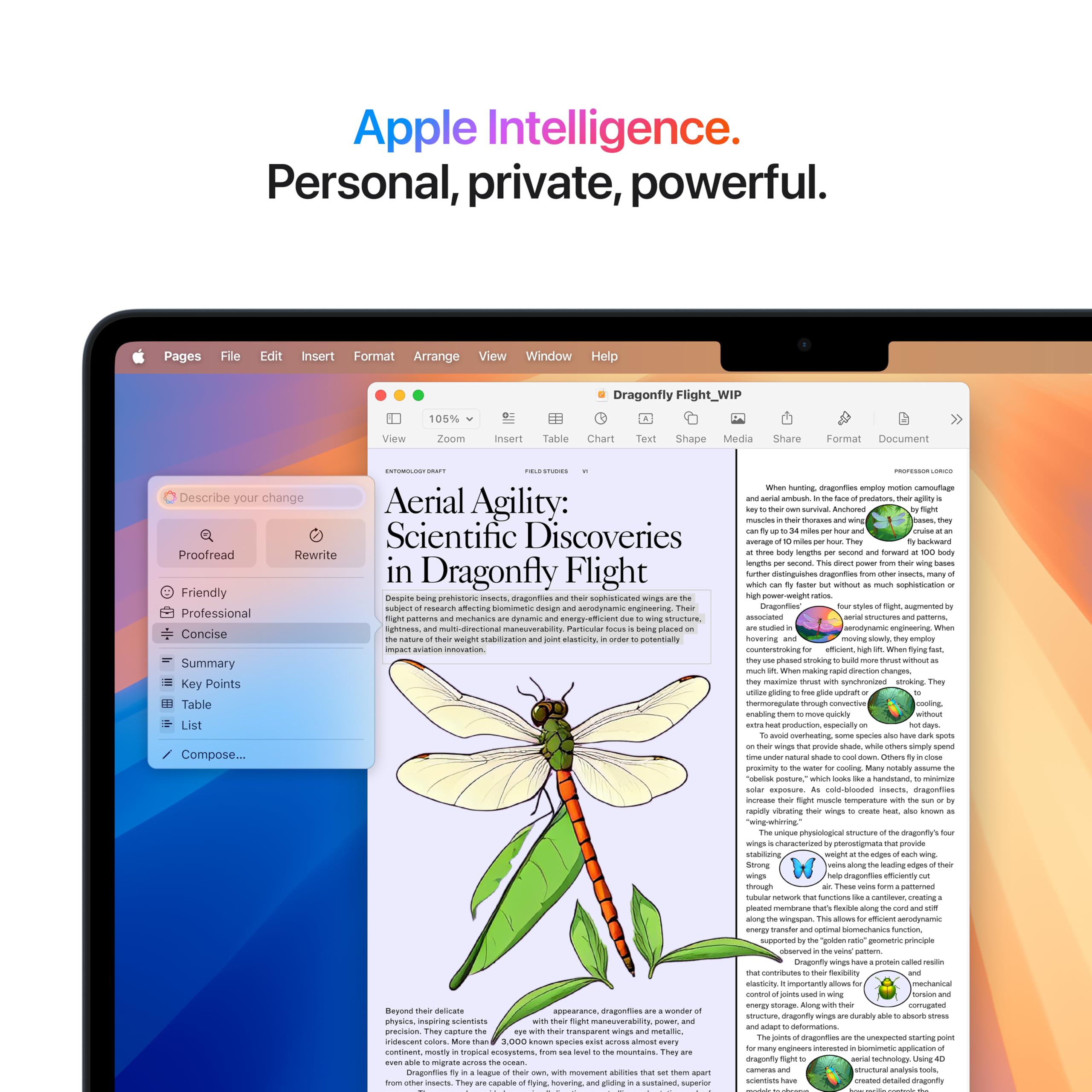 Apple 2025 MacBook Air 13-inch Laptop with M4 chip: Built for Apple Intelligence, 13.6" Liquid Retina Display, 16GB Unified Memory, 256GB SSD Storage, 12MP Center Stage Camera, Touch ID, Midnight